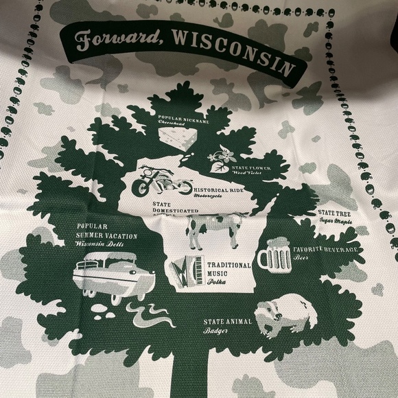 Stuffed States Wisconsin cheese and Wisconsin tea towel - Picture 8 of 11